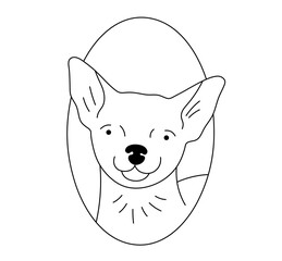 Wall Mural - vector isolated cute cartoon dog portrait in oval frame chihuahua colorless black and white contour 