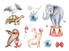 Watercolor Collection Of Circus Animals And Props. Hand Drawn Illustration In Retro Style. Cute Elephant, Seal, Pelican, Pig, Turtle, Cat Isolated On White Backround. Design Template Elements.