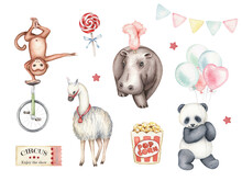 Watercolor Collection Of Circus Animals. Hand Drawn Illustration In Retro Style. Cute Llama, Monkey, Panda, Hippo, Balloons, Ticket, Popcorn, Lollipop, Flag Garland. Isoleted Design Template Elements.