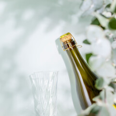 Bottle of champaign with glass on blue background with eucalyptus green leaves and shadows. Summer romantic still life with bottle of low alcohol beverage. Flat lay