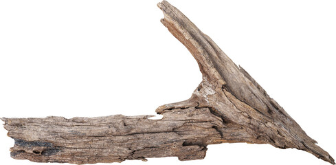 Dry branch tree naturally.