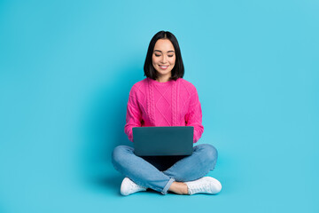 Wall Mural - Full length photo of sweet shiny woman dressed pink sweater chatting twitter telegram facebook isolated blue color background