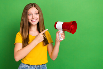 Sticker - Portrait of positive sweet girl indicate finger hand hold loudspeaker isolated on green color background