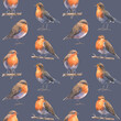 Seamless pattern with european robin bids