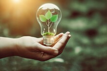 A Human Hand Holding A Light Bulb With A Young Plant Inside, Symbolizing Green Energy, Sustainability And Reusability. This Displays An Ecological Attitude Toward Combating Climate Change.