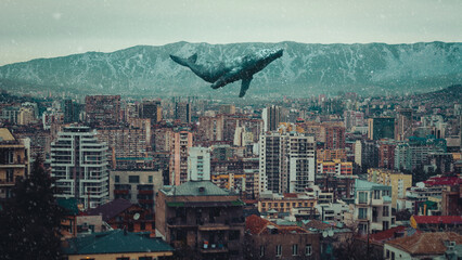 Wall Mural - TBILISI WHALE ART