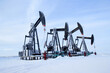 © Saeedatun - Winter in the oilfield cowered with white snow with black pumpjacks.