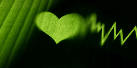 Conceptual Photo. World Environment Day. Global Health Awareness. Green Leaf with Backlit technic as Heart Shape and Beat Rate. Environmental to Love, Care and Sustainable Resources