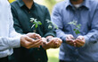 © Deemerwha - Businessmen and community together planting trees for sustainable development goals. company or businesses and corporations that care about the environment and  ecosystem in greenery company