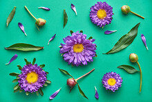 Purple daisy flower pattern on a green background. Top view