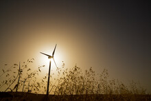 Windmills For Electric Power Production At Sunrise.