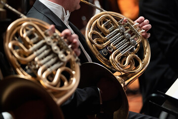 Wall Mural - French horn players playing during a classical symphony orchestra concert