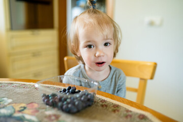 Wall Mural - Cute little toddler boy eating blueberries at home. Fresh organic frutis for infants.