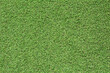 Green grass background texture. Green lawn texture background