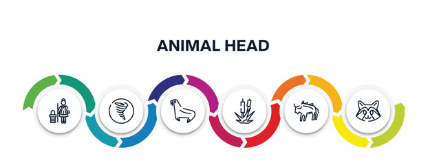 animal head outline icons with infographic template. thin line icons such as cleaner, tornado, sea lion, bulrush, bison, racoon vector.