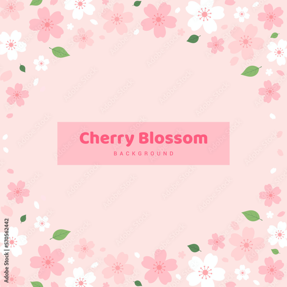 Cherry Blossoms background vector illustration. Pink Sakura flower ...