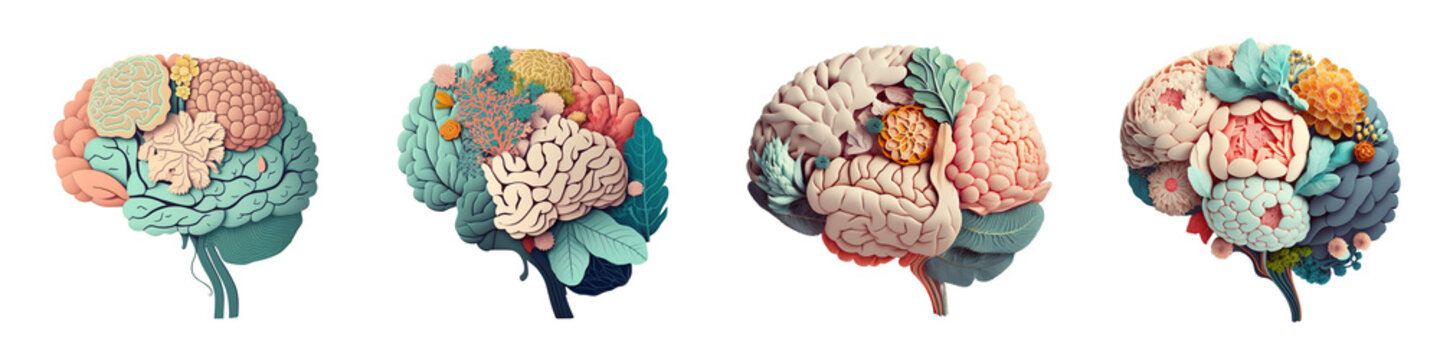 human brain with decorative flowers, creative refreshing mind and positive mental health concept, ge
