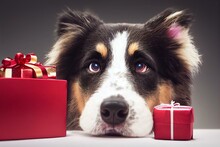 Puppy Dog Border Collie Holding Red Gift Box In Mouth Isolated On White Background. Christmas New Year Birthday Valentine Celebration Present Concept. Pet Dog On Holiday Day Gives. Generative AI