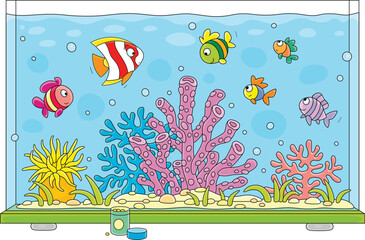 Wall Mural - Merry small fishes swimming in blue water of a large colorful aquarium with tropical sea corals and seaweeds, vector cartoon illustration isolated on a white background