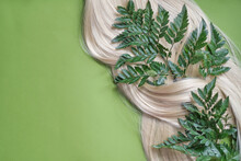 Eco-friendly Hair Care Concept. Ply Of Blonde Hair Intertwined With A Fern Branch Lying On A Green Background.