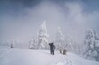 Miyagi,Japan - February 9, 2023: People taking photos of frozen trees or Juhyo in snowstorm in Miyagi, Japan
