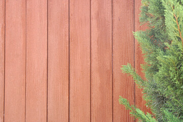 Poster - brown wooden floors form a wall.