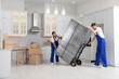 © New Africa - Male movers carrying refrigerator in new house