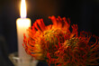 African flower next to a candle