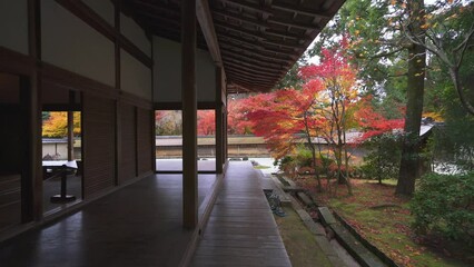 Wall Mural - 京都　龍安寺の石庭と紅葉