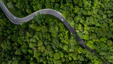 Fototapeta Natura - Aerial view green forest with car on the asphalt road, Car drive on the road in the middle of forest trees, Forest road going through forest with car.