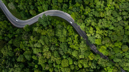 aerial view green forest with car on the asphalt road, car drive on the road in the middle of forest