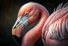 Close Up Of A Pink Flamingo, Generative AI