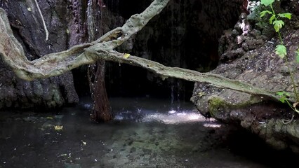 Canvas Print - Natural grotto of Baths of Aphrodite Botanical Garden in Akamas National Forest, Cyprus, 4k video