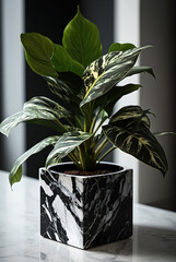 Black and white marble pattern on a simple pot plant in a luxurious home. Generative AI.
