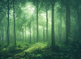 Fototapeta Tęcza - eerie and beautiful foggy forest landscape