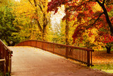 Fototapeta Most - Autumn Park wooden bridge over the river