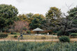 Tsuruma Park green garden in Nagoya, Japan