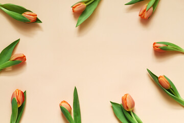 Sticker - Composition of orange tulips