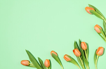 Sticker - Composition of orange tulips