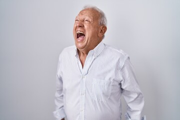 Poster - Senior man with grey hair standing over isolated background angry and mad screaming frustrated and furious, shouting with anger. rage and aggressive concept.