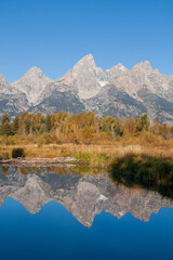 Wall Mural - Scenic Autumn Reflection Landscape in Grand Teton National Park Wyoming
