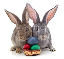 Canvas Print - Easter bunnies with colored eggs.