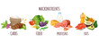 Food protein carbohydrate fiber nutrition macronutrients infographic concept. Vector graphic design illustration