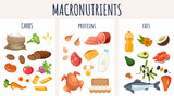Fototapeta Pokój dzieciecy - Food protein carbohydrate fiber nutrition macronutrients infographic concept. Vector graphic design illustration