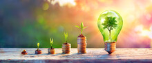 Green Energy Investment - Plants Growth On Money And Tree In Lightbulb