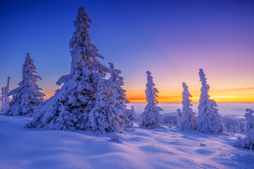 Canvas Print - Scenic winter sunrise in mountains