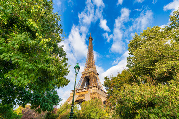 Poster - Eiffel Tower seen from the park on sunny day in Paris. France