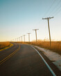 Road with power lines and utility poles in a wetland, Holly Beach, Louisiana