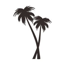 Silhouette Of Palm Trees