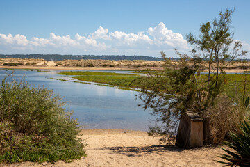 panoramic beach access in south west arcachon bay in atlantic french coast in lege cap-ferret